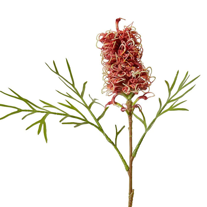Grevillia Flower Sm Stem Pack of 12 - Red, 76cm (H)