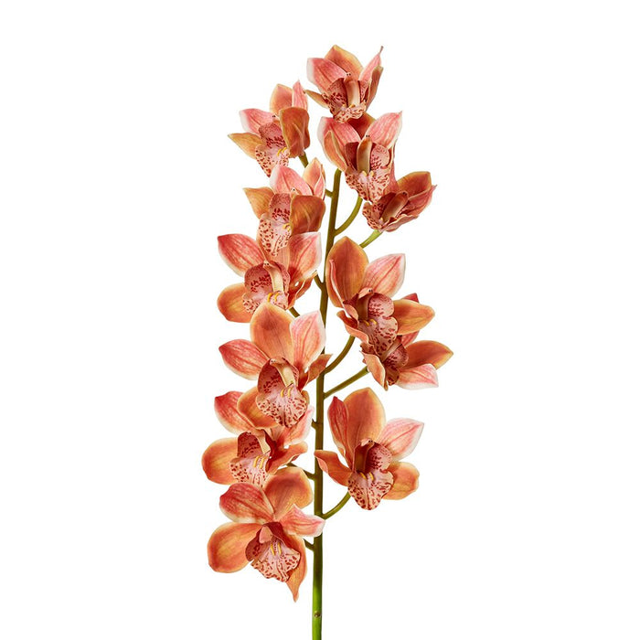 Cymbidum Grand Orchid Pack of 4 - Dark Orange, 95cm (H)