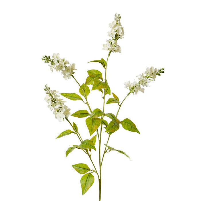 Larkspur Spray Pack of 12 - White, 62cm (H)