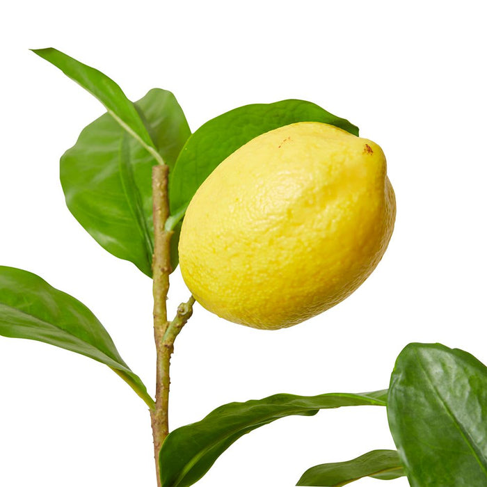 Lemon Spray Pack of 12 - Yellow, 102cm (H)