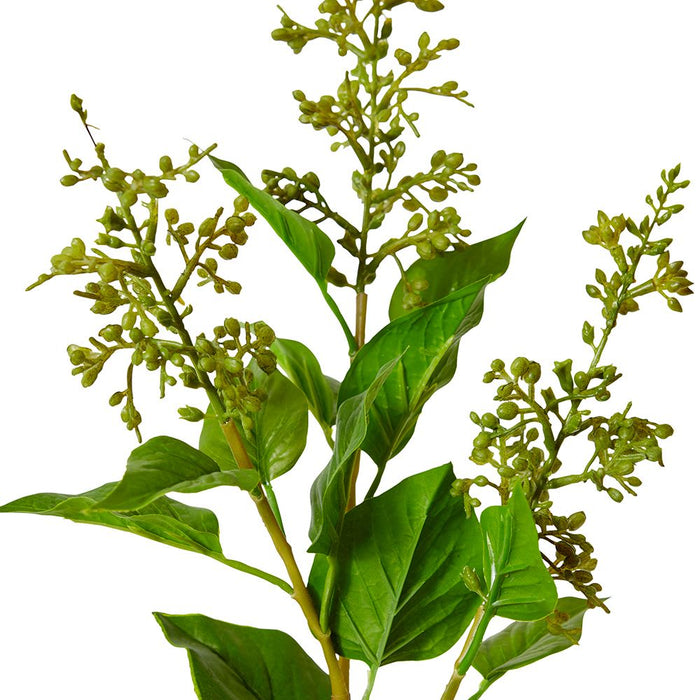 Lilac Seed Spray Pack of 12 - Green, 67cm (H)