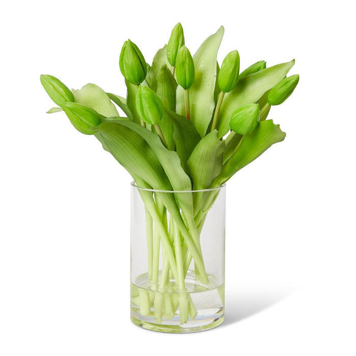 Tulip Bud Green - Green/Clear, 31cm (H)