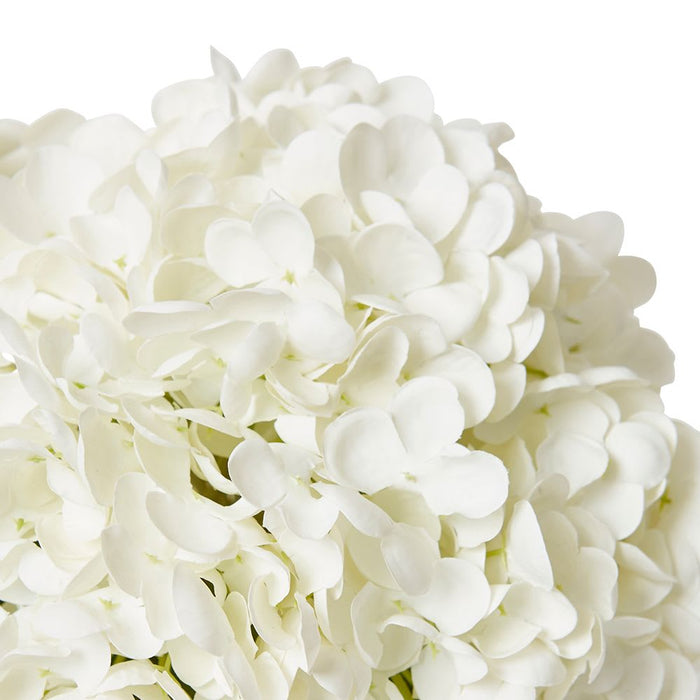 Hydrangea Classic White - White/Clear, 26cm (H)