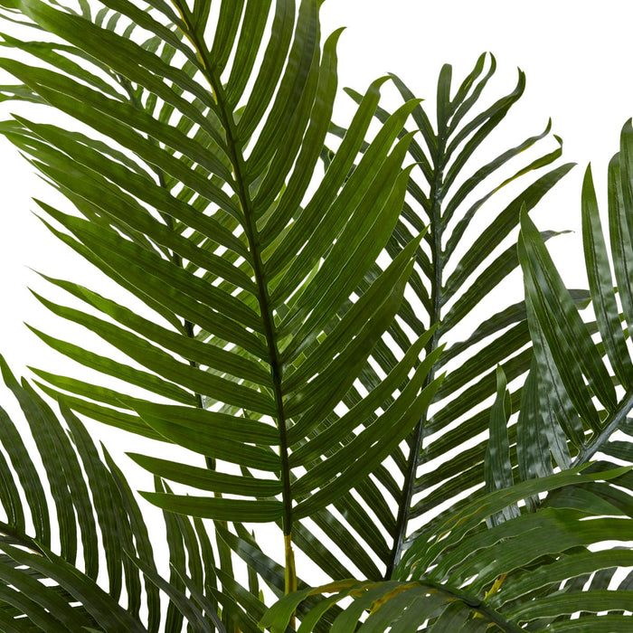 Palm Areca - Green, 120cm (H)