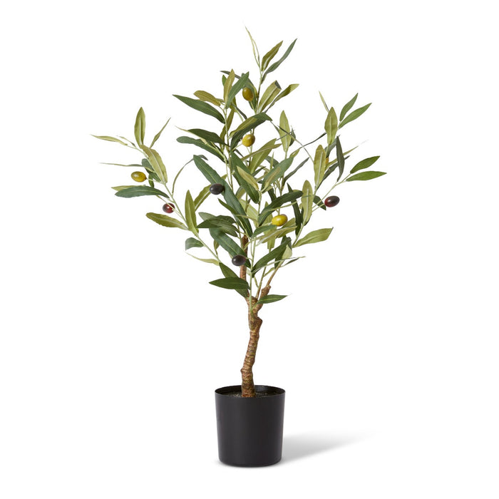 Olive Tree - Grey Green, 61cm (H)