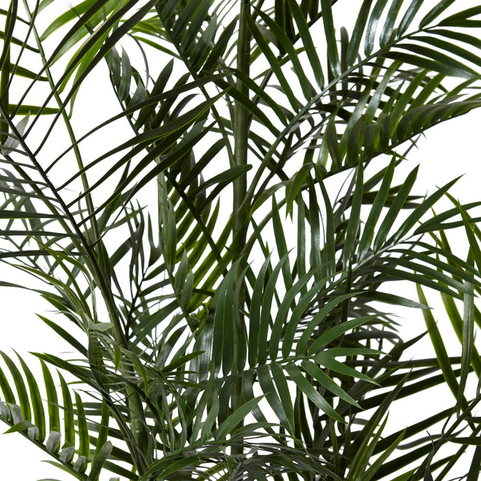 Palm Areca (Outdoor) - Green, 150cm (H)