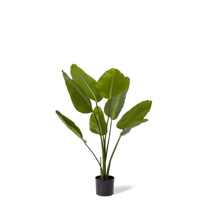 Bird of Paradise - Green, 120cm (H)