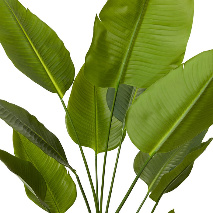 Bird of Paradise - Green, 150cm (H)