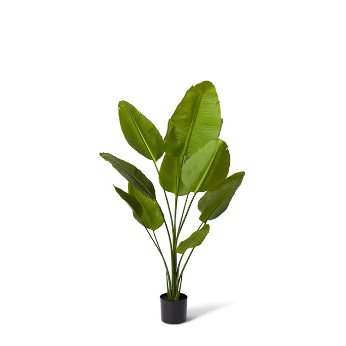 Bird of Paradise - Green, 150cm (H)