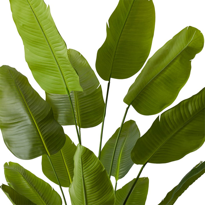 Bird of Paradise - Green, 210cm (H)