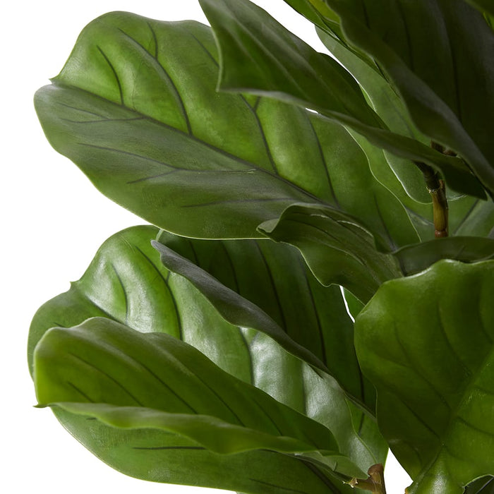 Fiddle Tree (Outdoor) - Green, 122cm (H)