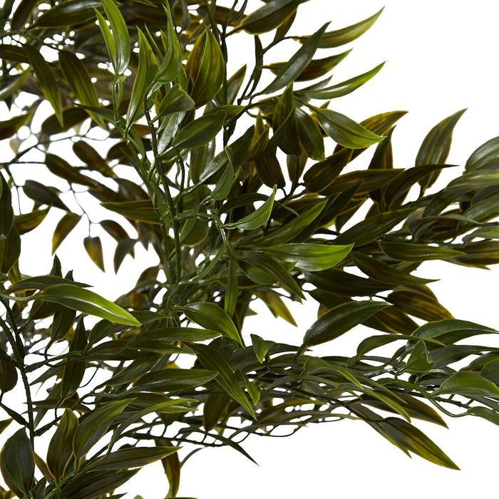 Ruscus Tree (Outdoor) - Green, 152cm (H)