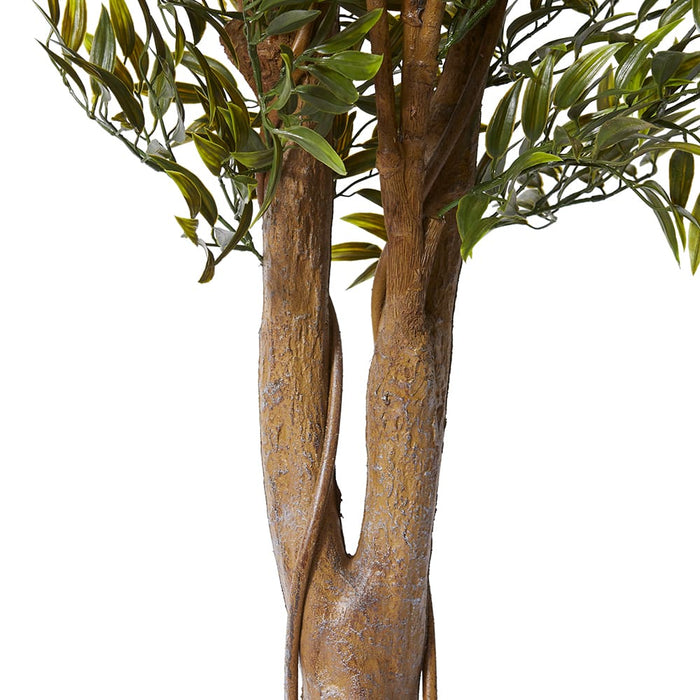 Ruscus Tree (Outdoor) - Green, 183cm (H)