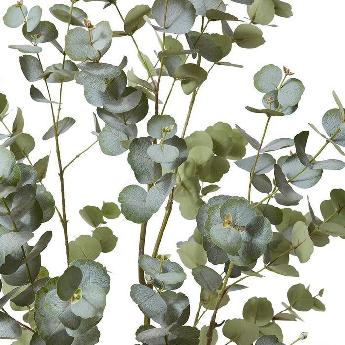 Eucalyptus Tree - Grey Green, 150cm (H)