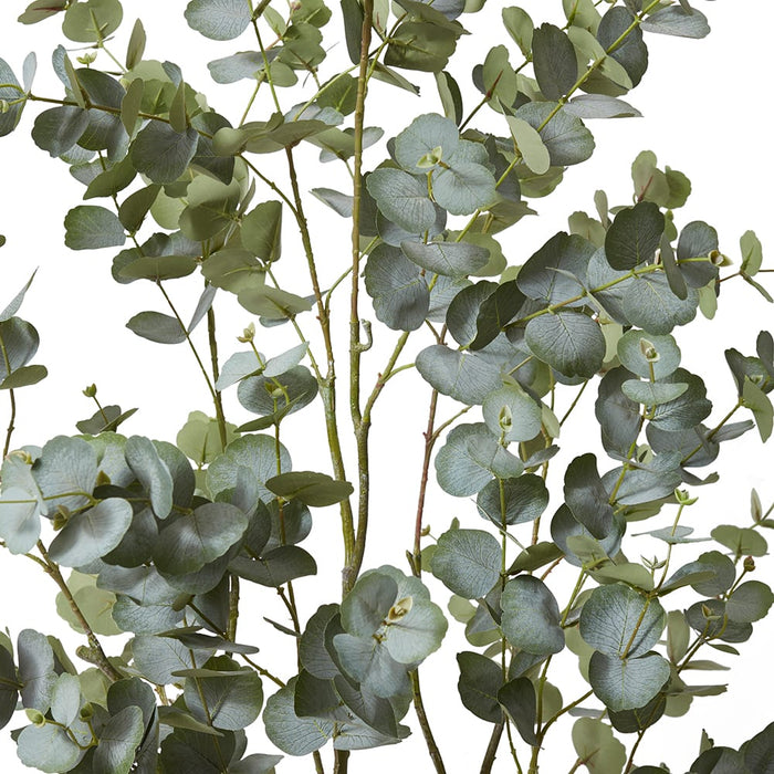 Eucalyptus Tree - Grey Green, 170cm (H)
