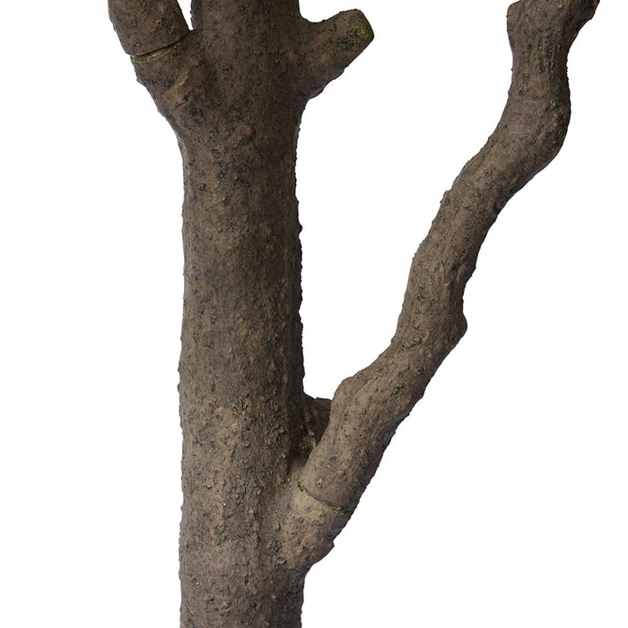 Olive Tree - Green, 300cm (H)