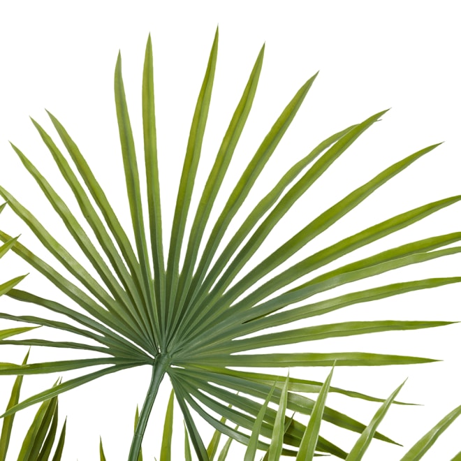 Kwai Palm (Outdoor) - Green, 130cm (H)