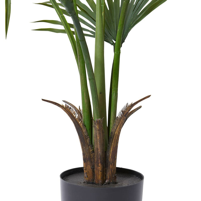 Kwai Palm (Outdoor) - Green, 130cm (H)
