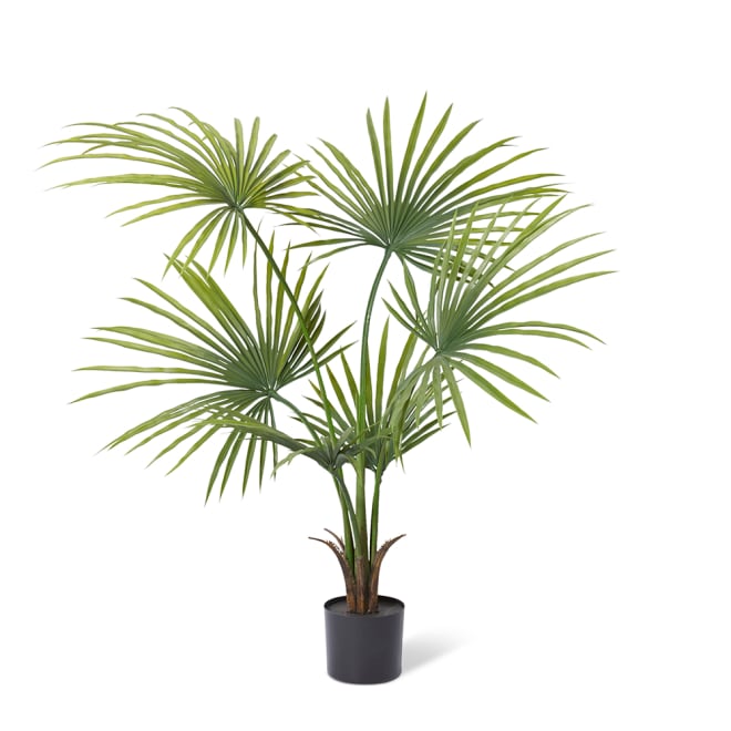 Kwai Palm (Outdoor) - Green, 130cm (H)