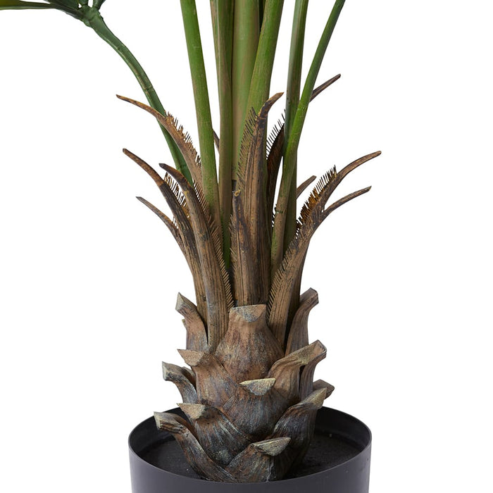 Kwai Palm (Outdoor) - Green, 180cm (H)