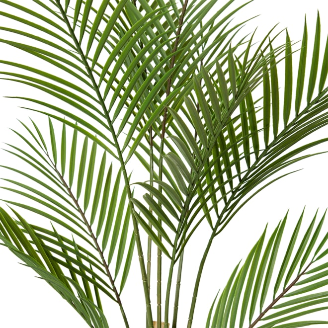 Palm Phoenix (Outdoor) - Green, 90cm (H)
