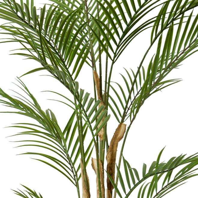 Palm Phoenix (Outdoor) - Green, 120cm (H)