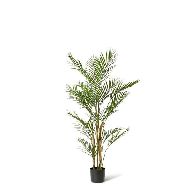 Palm Phoenix (Outdoor) - Green, 120cm (H)