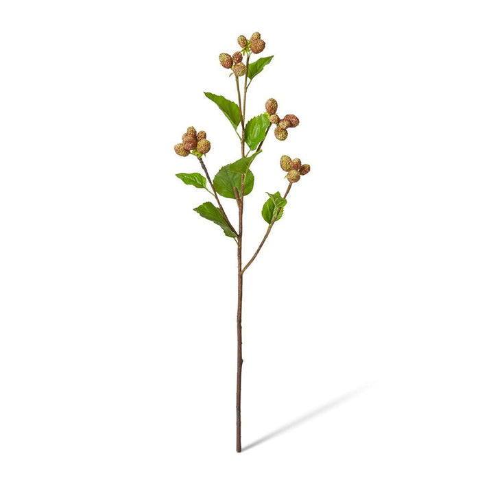 Mulberry Spray Pack of 12 - Green Brown, 66cm (H)