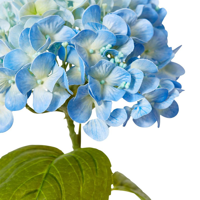 Hydrangea Bloom Stem Pack of 12 - Blue, 60cm (H)