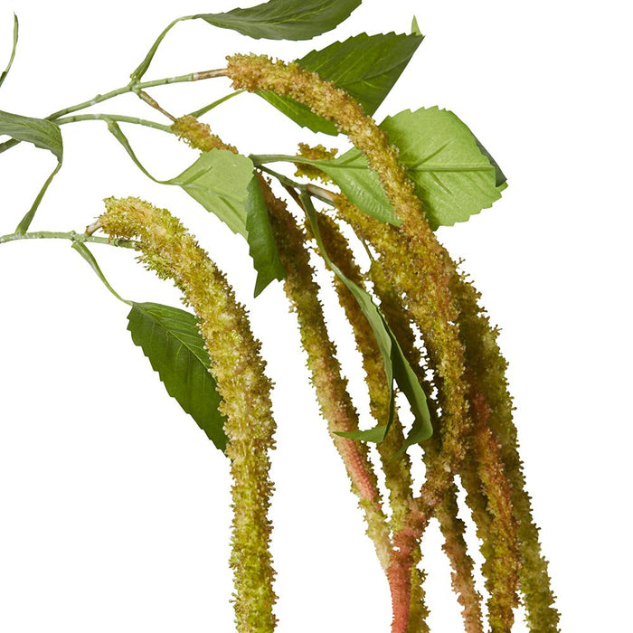 Amaranthus Spray Pack of 12 - Green/Pink, 134cm (H)