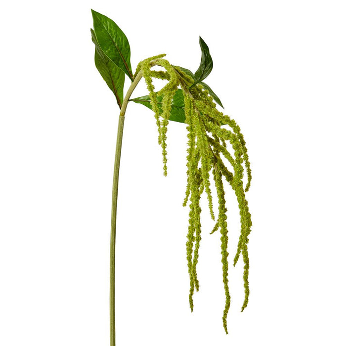 Amaranthus Spray Pack of 12 - Green, 114cm (H)