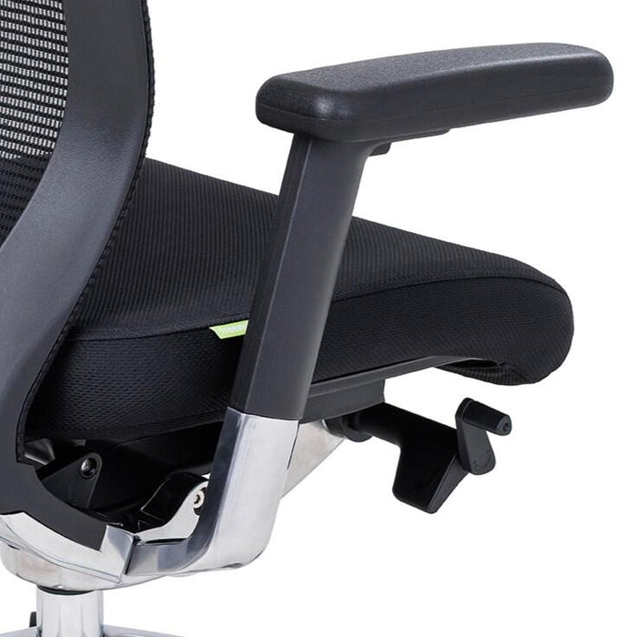 Adjustable Arms for Balance Executive