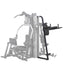 Body-Solid Vertical Knee Raise Station to G9S