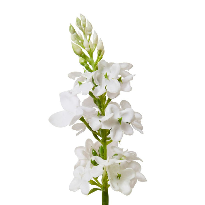 Larkspur Spray Pack of 12 - Light Pink, 62cm (H)
