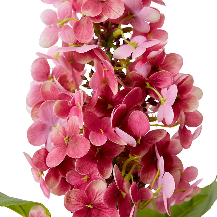 Cone Hydrangea (RT) Pack of 12 - Pink, 75cm (H)