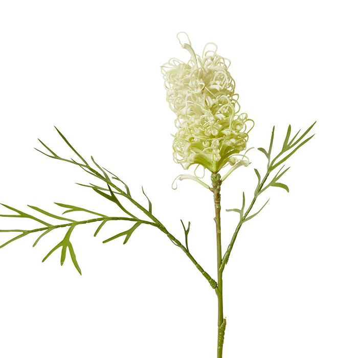 Grevillia Flower Sm Stem Pack of 12 - White, 76cm (H)