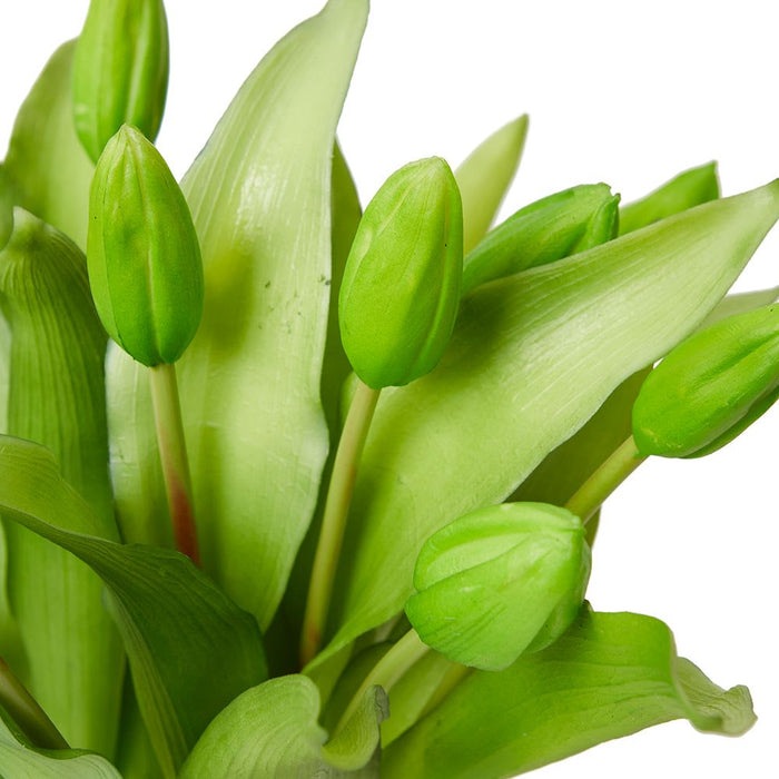 Tulip Bud Green - Green/Clear, 31cm (H)