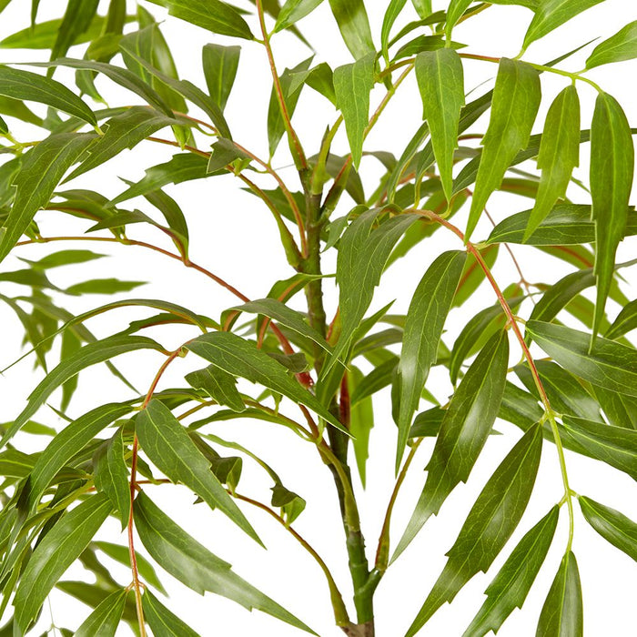 Mahonia Tree - Green, 180cm (H)