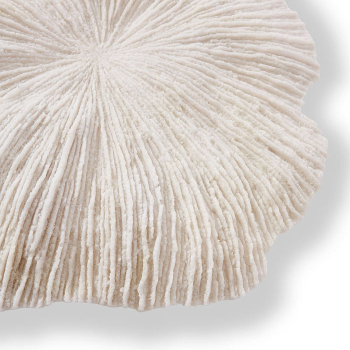 Sea Coral Wall Décor - White, 49cm (H)