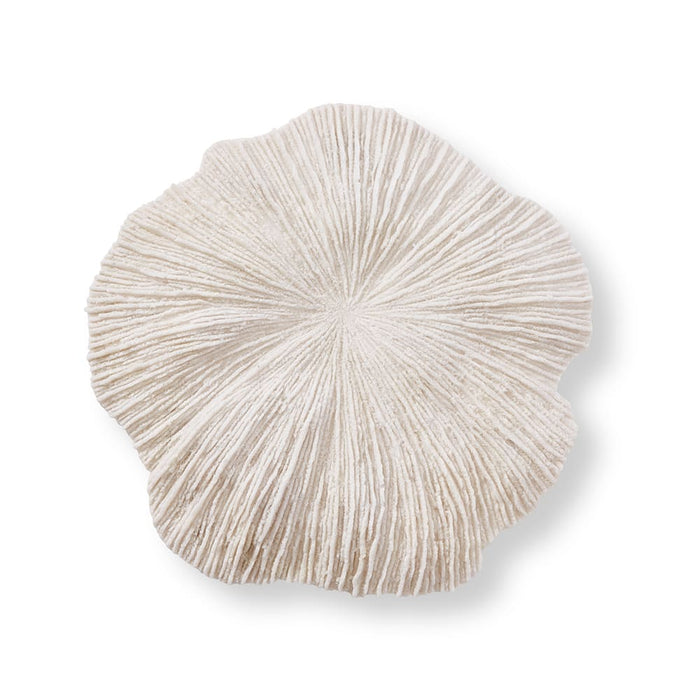 Sea Coral Wall Décor - White, 49cm (H)