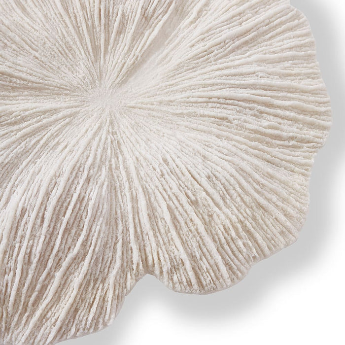 *Sea Coral Wall Décor - White, 56cm (H)