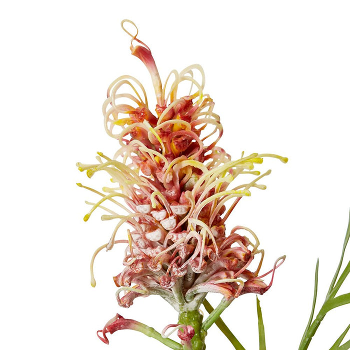Grevillia Flower Lg Stem Pack of 12 - Red, 64cm (H)