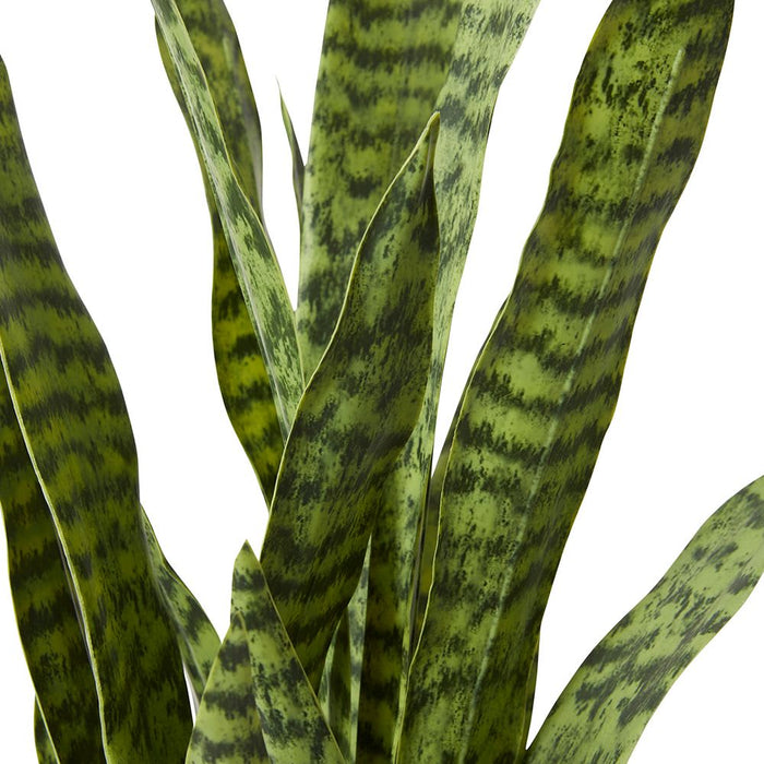 Sanseveria Plant - Green, 90cm (H)