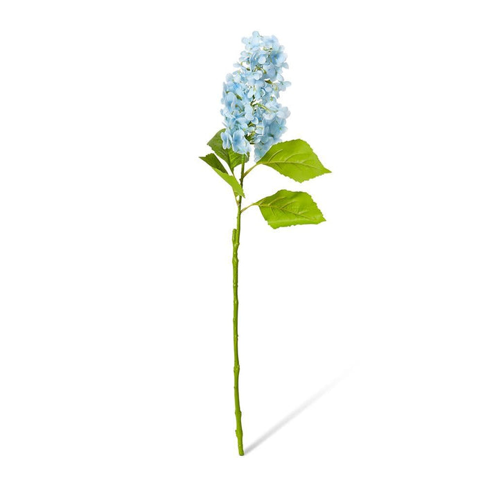 Cone Hydrangea (RT) Pack of 12 - Blue, 75cm (H)