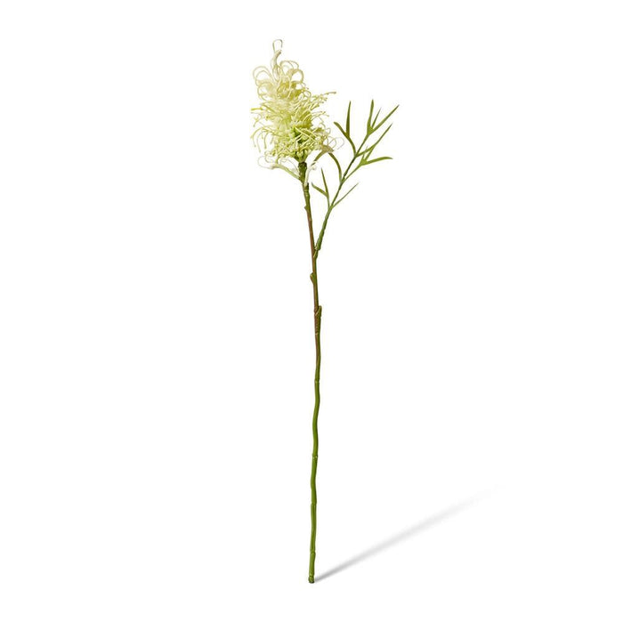 Grevillia Flower Lg Stem Pack of 12 - White, 64cm (H)