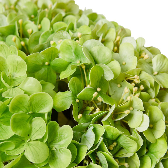 Hydrangea Mix Green - Green/Clear, 29cm (H)