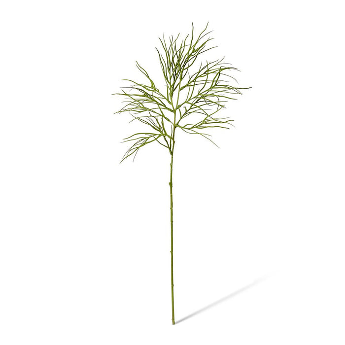 Grevillia Foliage Spray Pack of 12 - Green, 74cm (H)