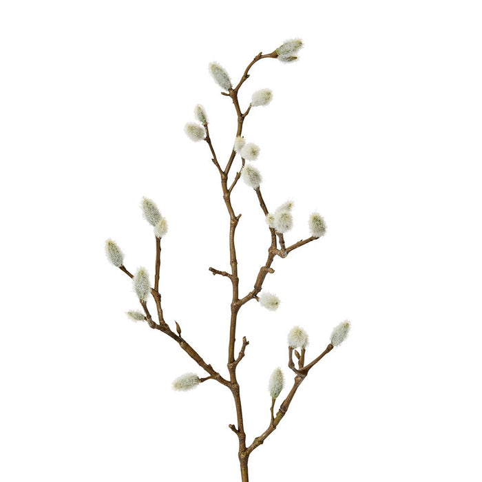Magnolia Bud Sm Spray Pack of 12 - Natural, 53cm (H)