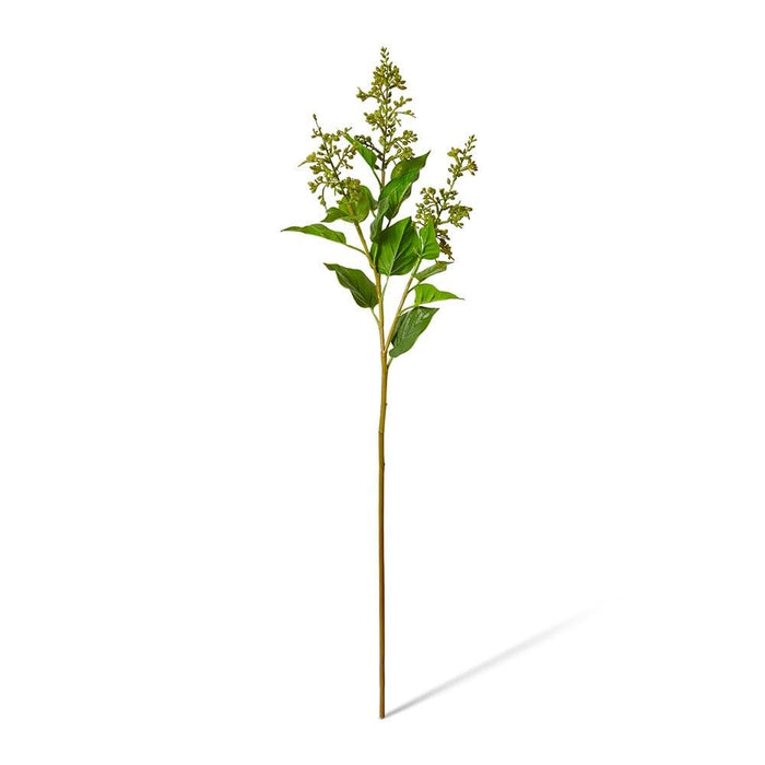 Lilac Seed Spray Pack of 12 - Green, 67cm (H)